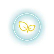 yellow leaf icon